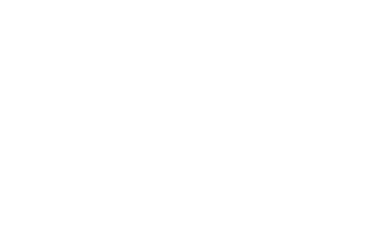 Elephant Bet